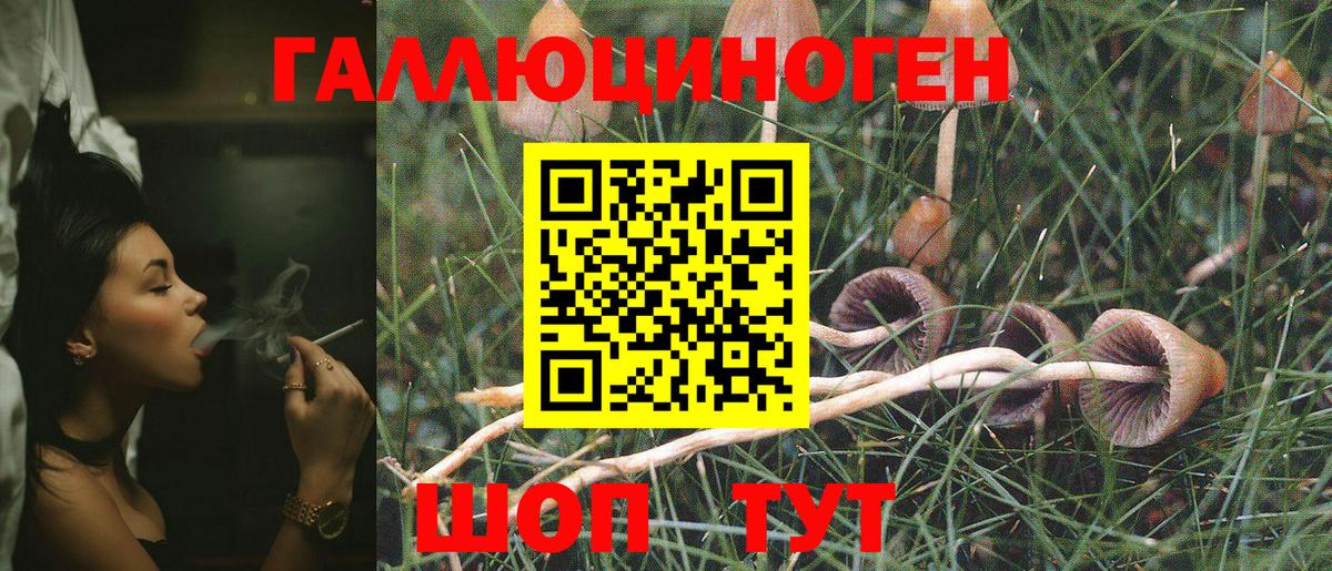 Псилоцибиновые грибы мицелий Чехов