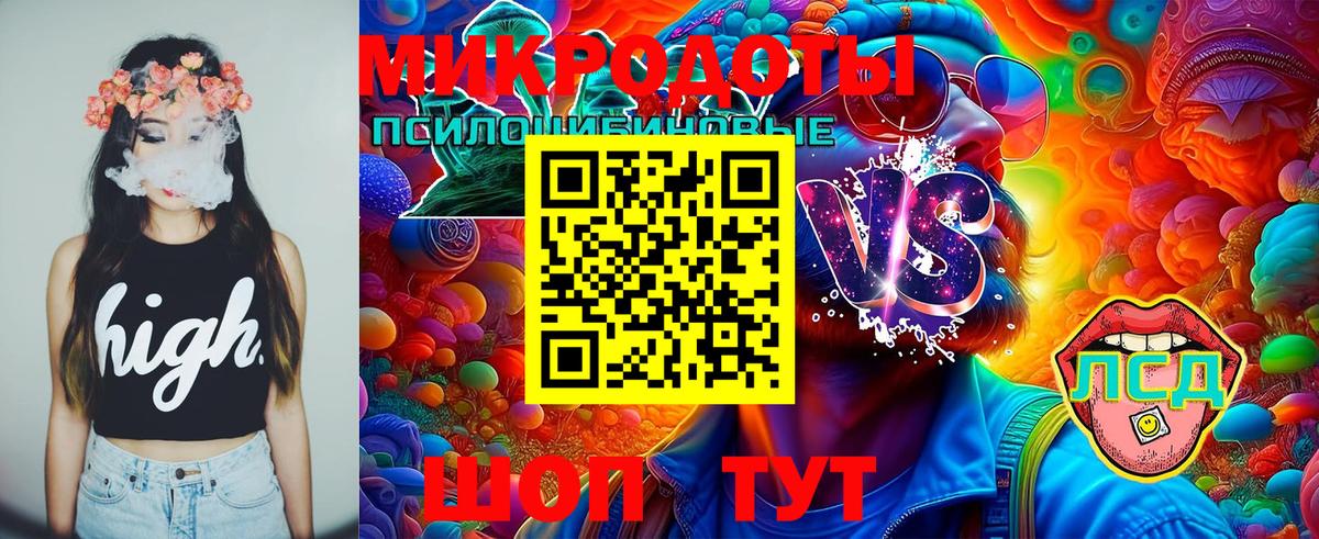 Чехов  Галлюциногенные грибы Psilocybine cubensis  Псилоцибиновые грибы Cubensis  Вход с VPN 